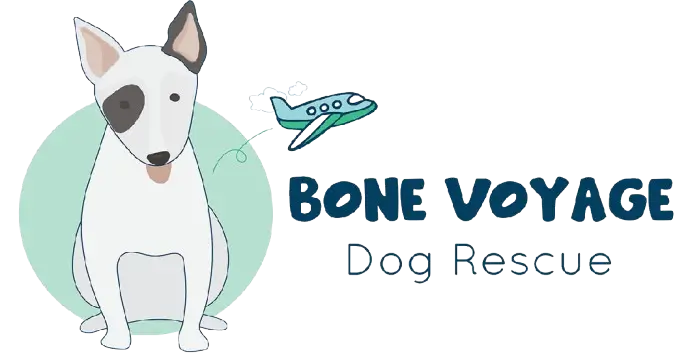 bone voyage dog rescue